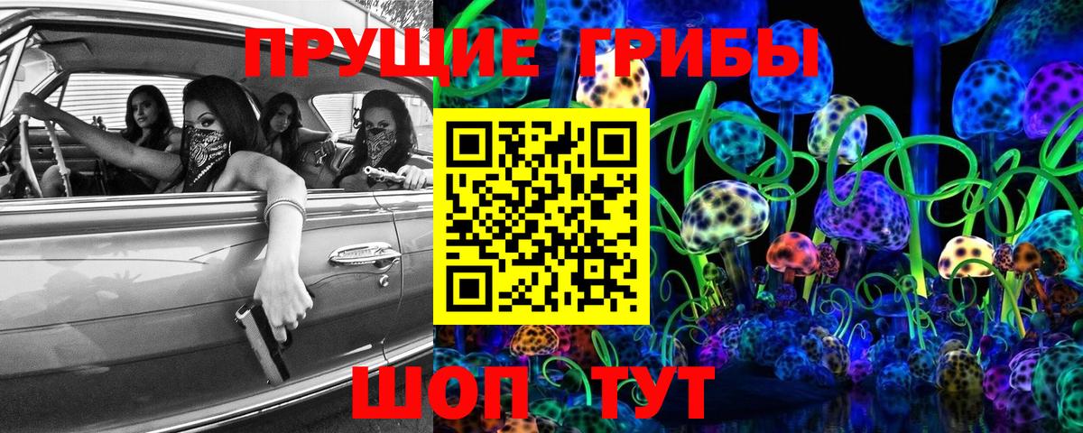 Галлюциногенные грибы Psilocybe Вичуга