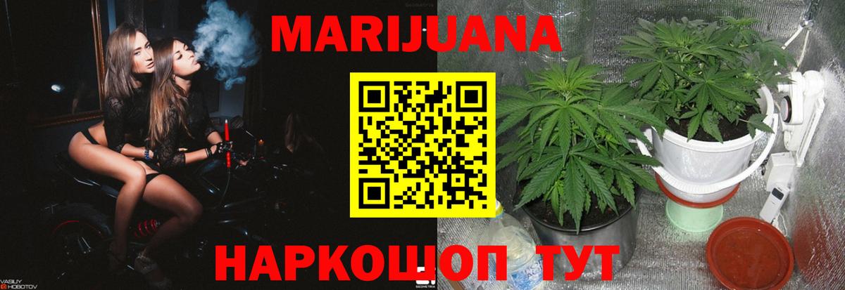 Вичуга  Бошки марихуана сатива  Марихуана Ganja  Марихуана AK-47  Вход с VPN 
